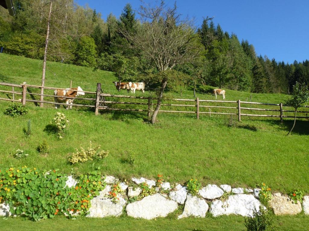 Pension Ehrenfried - Hotel Garni Kindberg Bagian luar foto